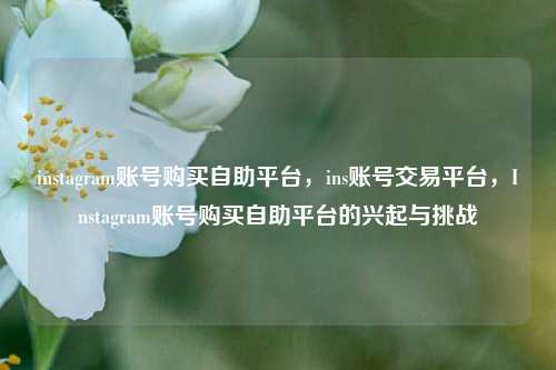 instagram账号购买自助平台，ins账号交易平台，Instagram账号购买自助平台的兴起与挑战