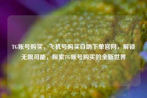 TG账号购买，飞机号购买自助下单官网，解锁无限可能，探索TG账号购买的全新世界