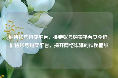 推特账号购买平台	，推特账号购买平台安全吗，推特账号购买平台，揭开网络诈骗的神秘面纱  第1张