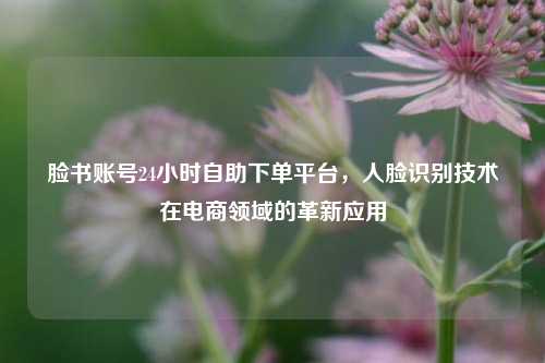 脸书账号24小时自助下单平台，人脸识别技术在电商领域的革新应用