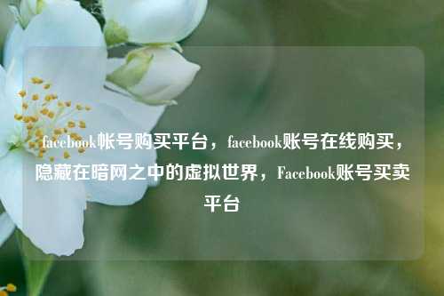 facebook帐号购买平台，facebook账号在线购买，隐藏在暗网之中的虚拟世界，Facebook账号买卖平台
