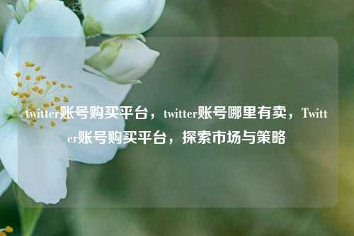 twitter账号购买平台，twitter账号哪里有卖，Twitter账号购买平台，探索市场与策略