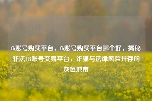 fb账号购买平台，fb账号购买平台哪个好，揭秘非法FB账号交易平台，诈骗与法律风险并存的灰色地带
