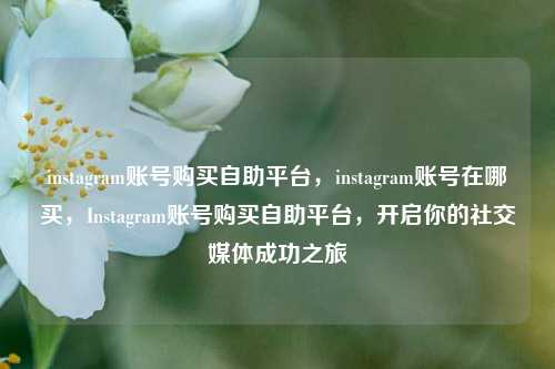 instagram账号购买自助平台，instagram账号在哪买，Instagram账号购买自助平台，开启你的社交媒体成功之旅