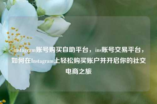 instagram账号购买自助平台，ins账号交易平台，如何在Instagram上轻松购买账户并开启你的社交电商之旅