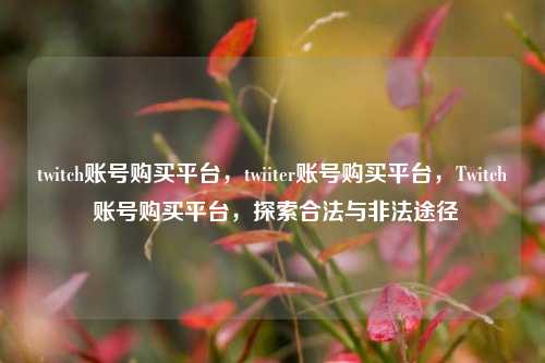 twitch账号购买平台，twiiter账号购买平台，Twitch 账号购买平台，探索合法与非法途径